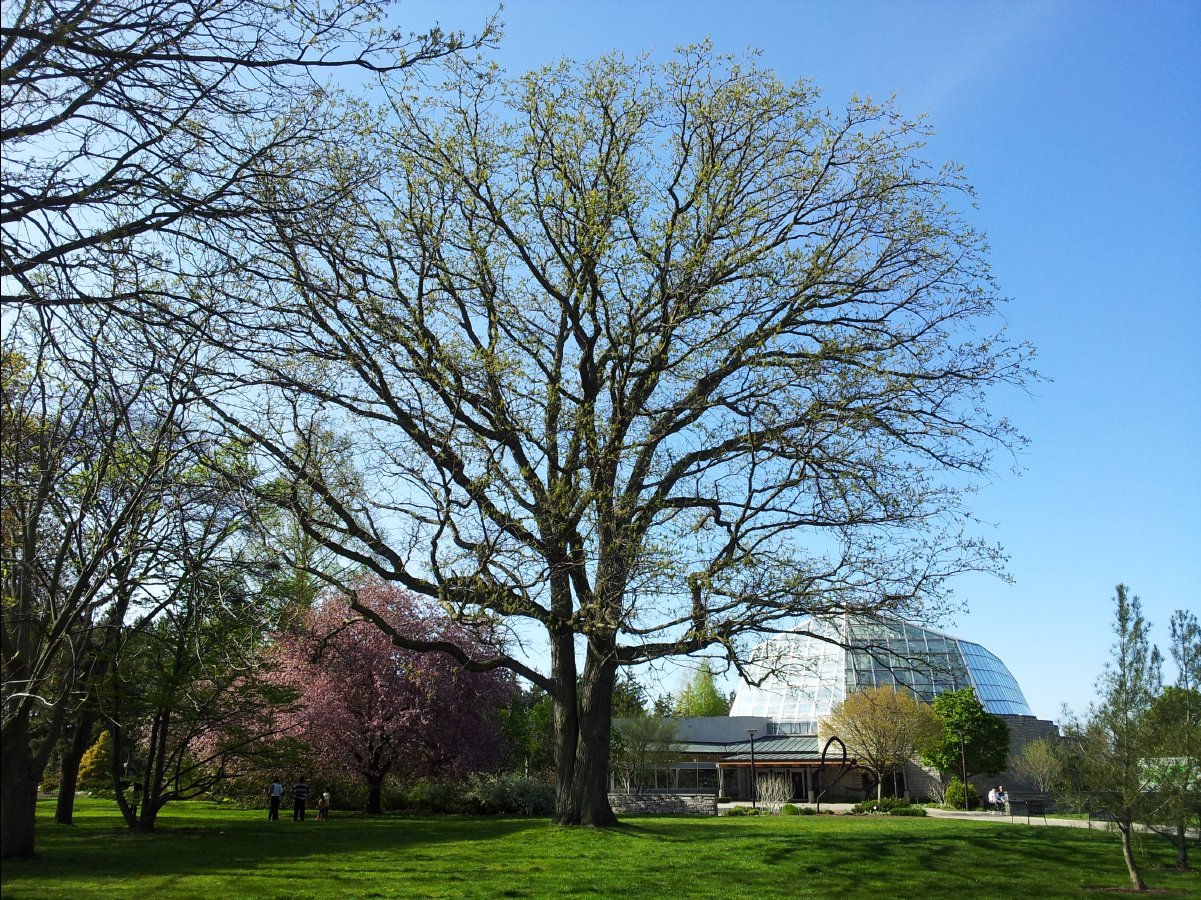 School of Gardening06